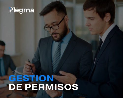 GESTIÓN DE PERMISOS